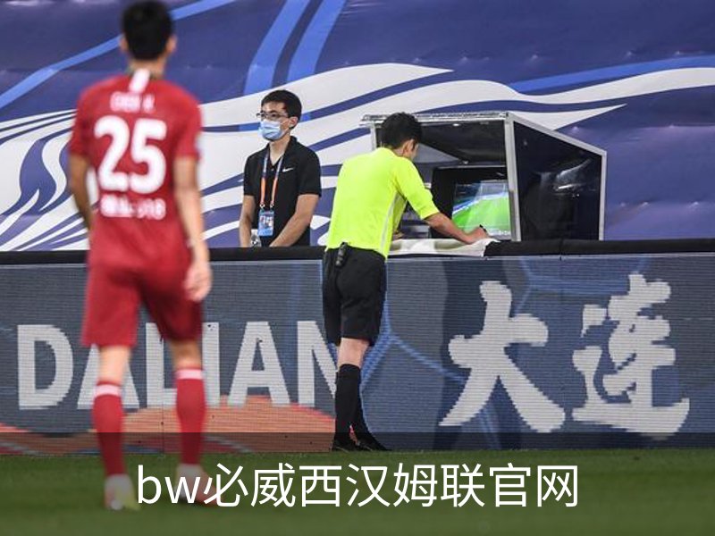 bw必威西汉姆联官网概况